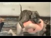 Zoophilia Sex - Horny pooch fucking a concupiscent dominatrix
